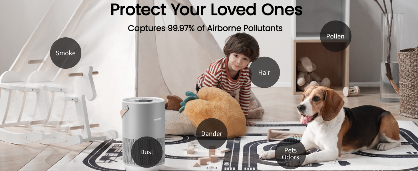 Amazon.com: Smartmi P1 Air Purifier for Home Bedroom, H13 HEPA, 19