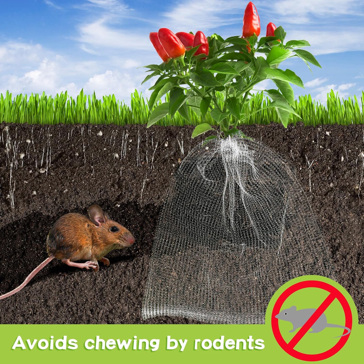 10 Pcs Root Guard Gopher Proof Wire Basket Stainless Steel Gopher Baskets Planter Cages for Planting Underground Knitted Wire Plant Protector Garden Netting for Root Protection(10 Gallon)