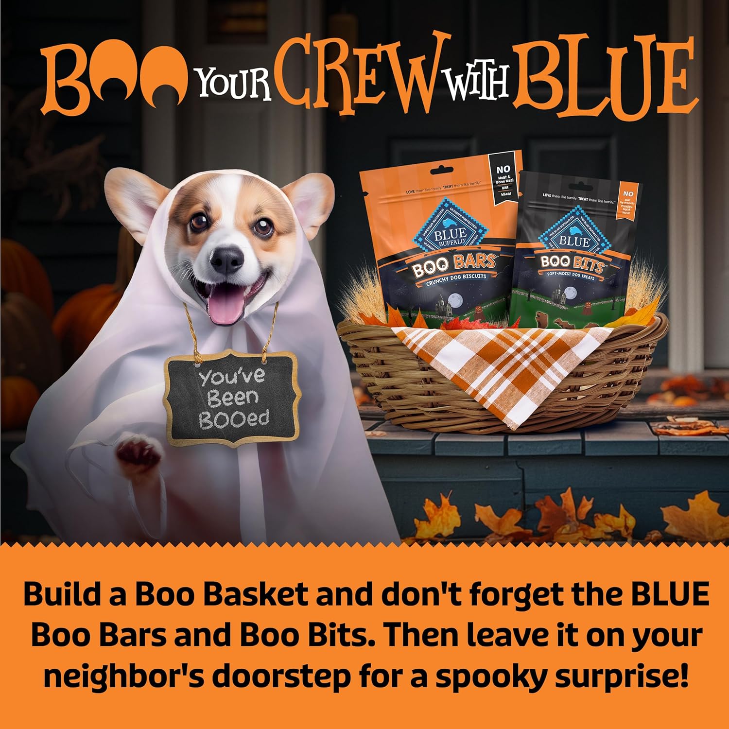 Blue Buffalo Boo Bits Soft & Chewy Halloween Dog Treats, Tasty Chicken Recipe, 4.5-oz Bag (Pack of 4)