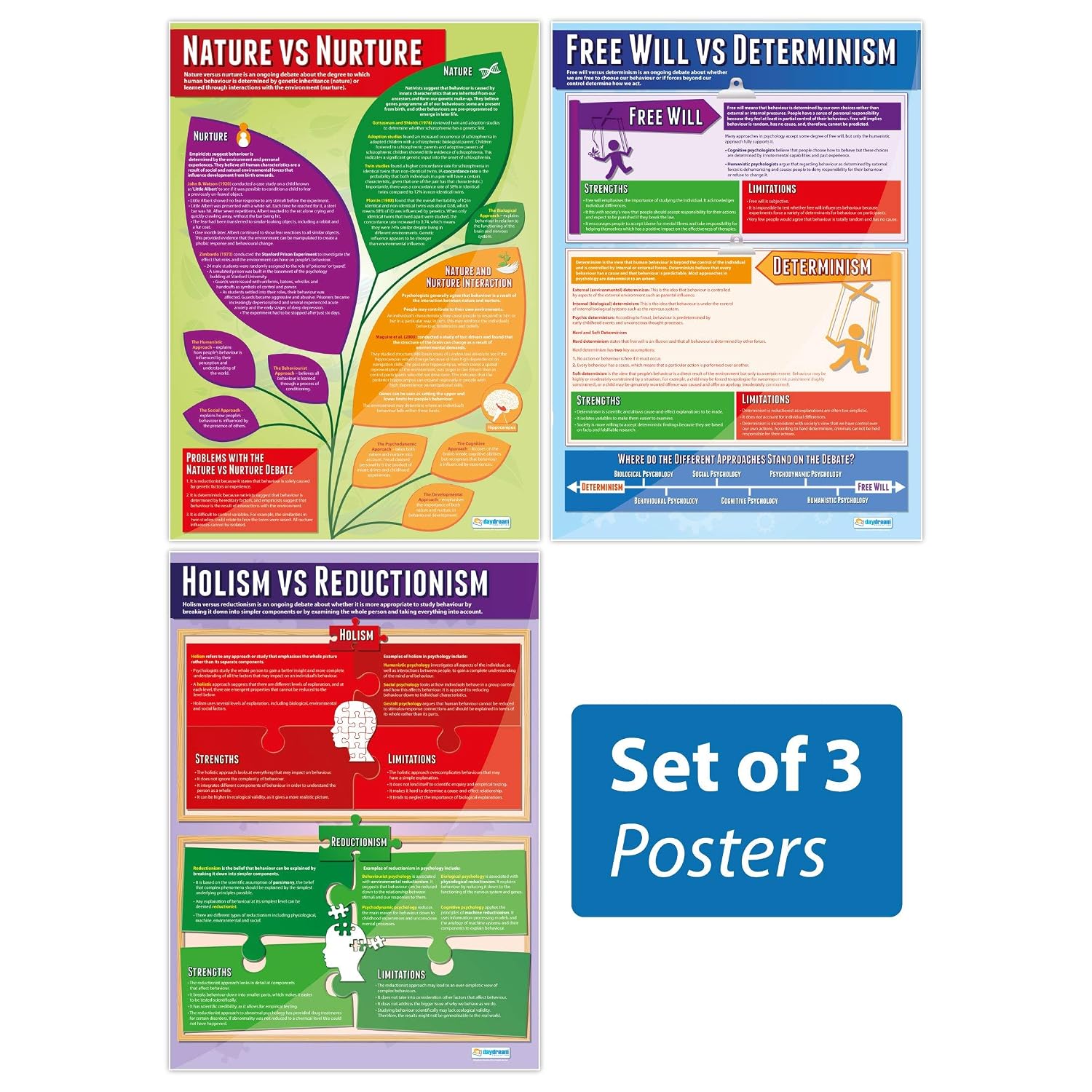 Daydream Education Debates in Psychology Classroom Posters - Set of 3 - EXTRA LARGE 33” x 23.5” - Gloss Paper - Psychology Middle & High School Class Decoration - Wall Charts