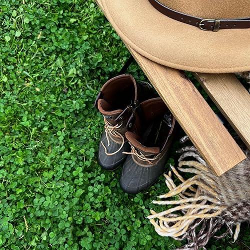 Miniatura 3 de Semilla de micro trébol para césped, 5 libras a granel,  2 millones de semillas de microtrébol para plantar, alternativa de mini hierba tolerante a