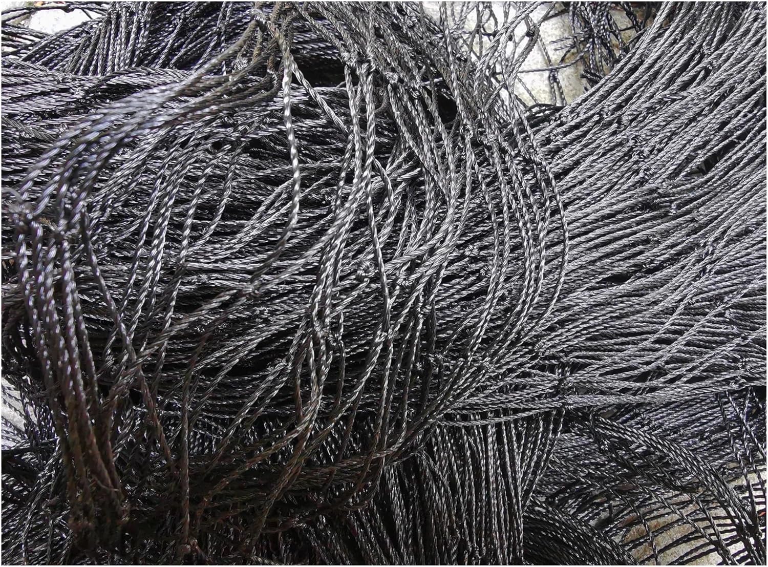 Black Bird Netting- Heavy Duty Anti Bird Net Deer Protective Net Garden Netting for Crops Protecion Against Birds, Cat,Deer(3mx15m)