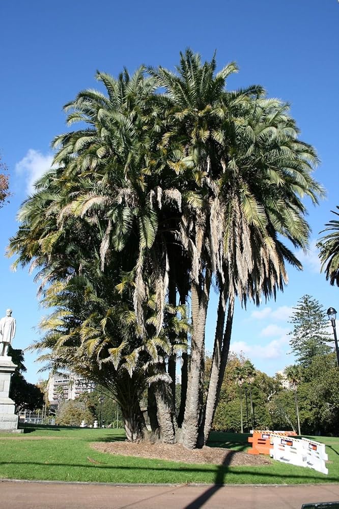 91VTKXJFrxL._AC_UF894,