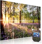 Mollywell Art Panneaux acoustiques, 48x32 in, Forêt Été , Réduit l'écho, Absorbement du son, Décor mural d'art moderne, Salon, Studio, Chambre, Bureau