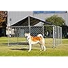 Product Photo 7