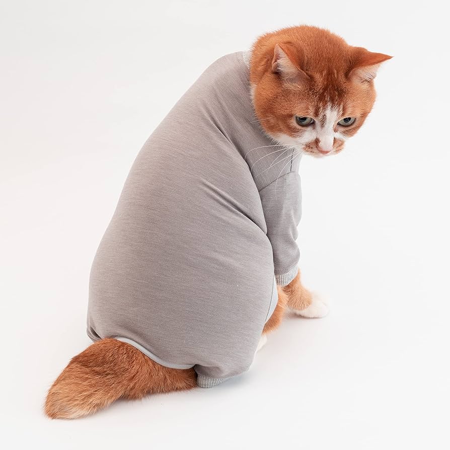 Anthropologie アンソロポロジー 猫の顔 日本未発売 新品 三英貿易 三毛猫 おすまし ぬいぐるみ】猫 ねこ ネコ リアル