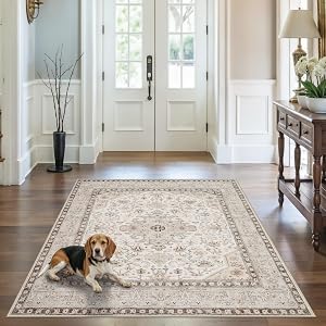 5x5 Rug Square Washable for Entry: Oriental Rugs for Living Room- Ultra Thin Low Pile Stain Resistant Carpet - Home Decor for Vintage Style Lover - 5' Square Ivory