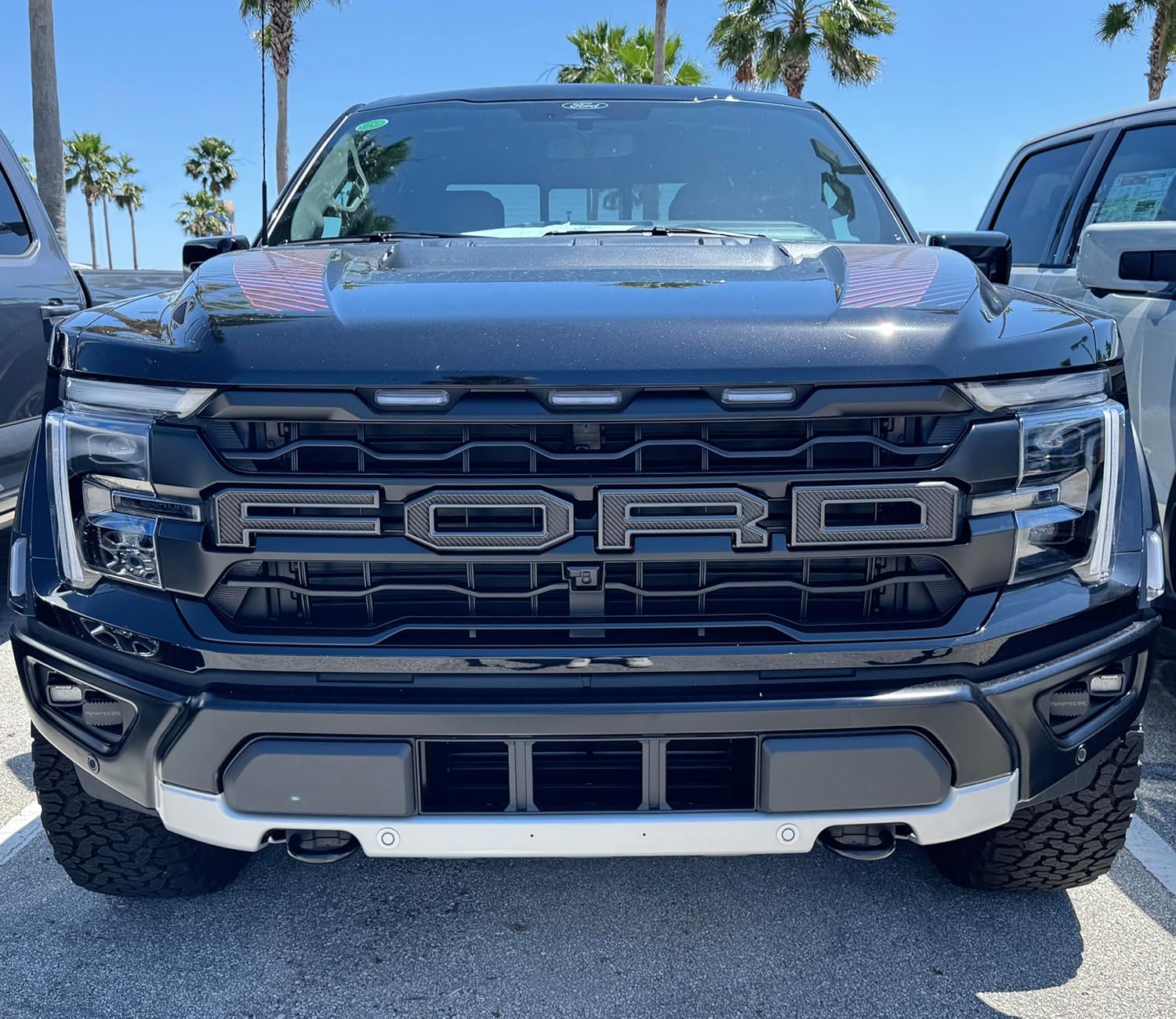 Grille Letter Inserts - Compatible with 2024-2026 Ford F-150 Raptor