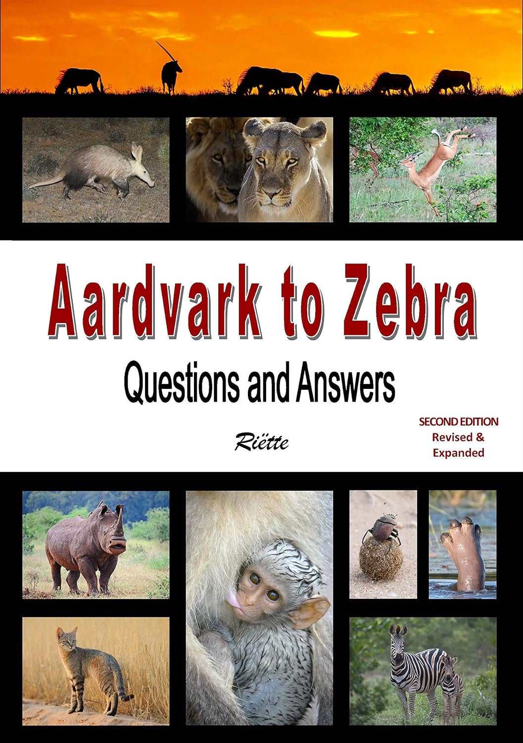 Aardvark to Zebra: Questions and Answers
