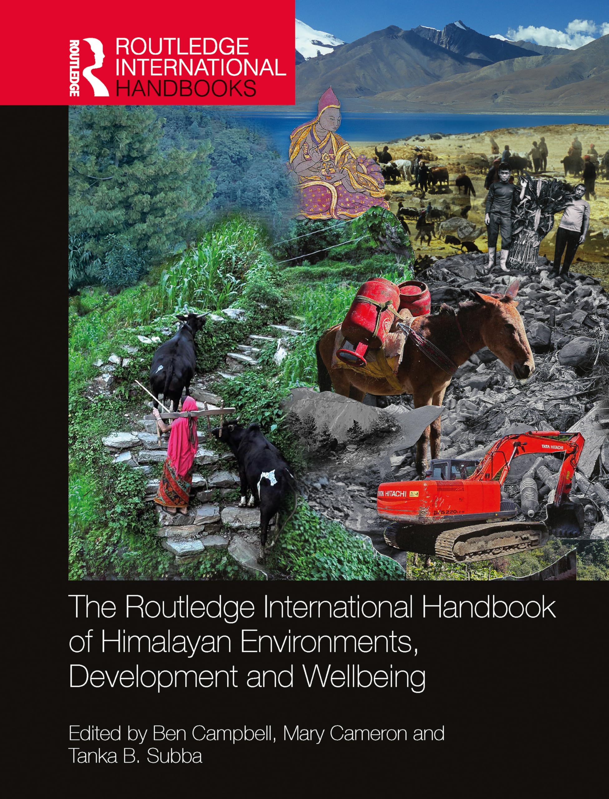 The Routledge International Handbook of Himalayan Environments, Development and Wellbeing (Routledge International Handbooks)