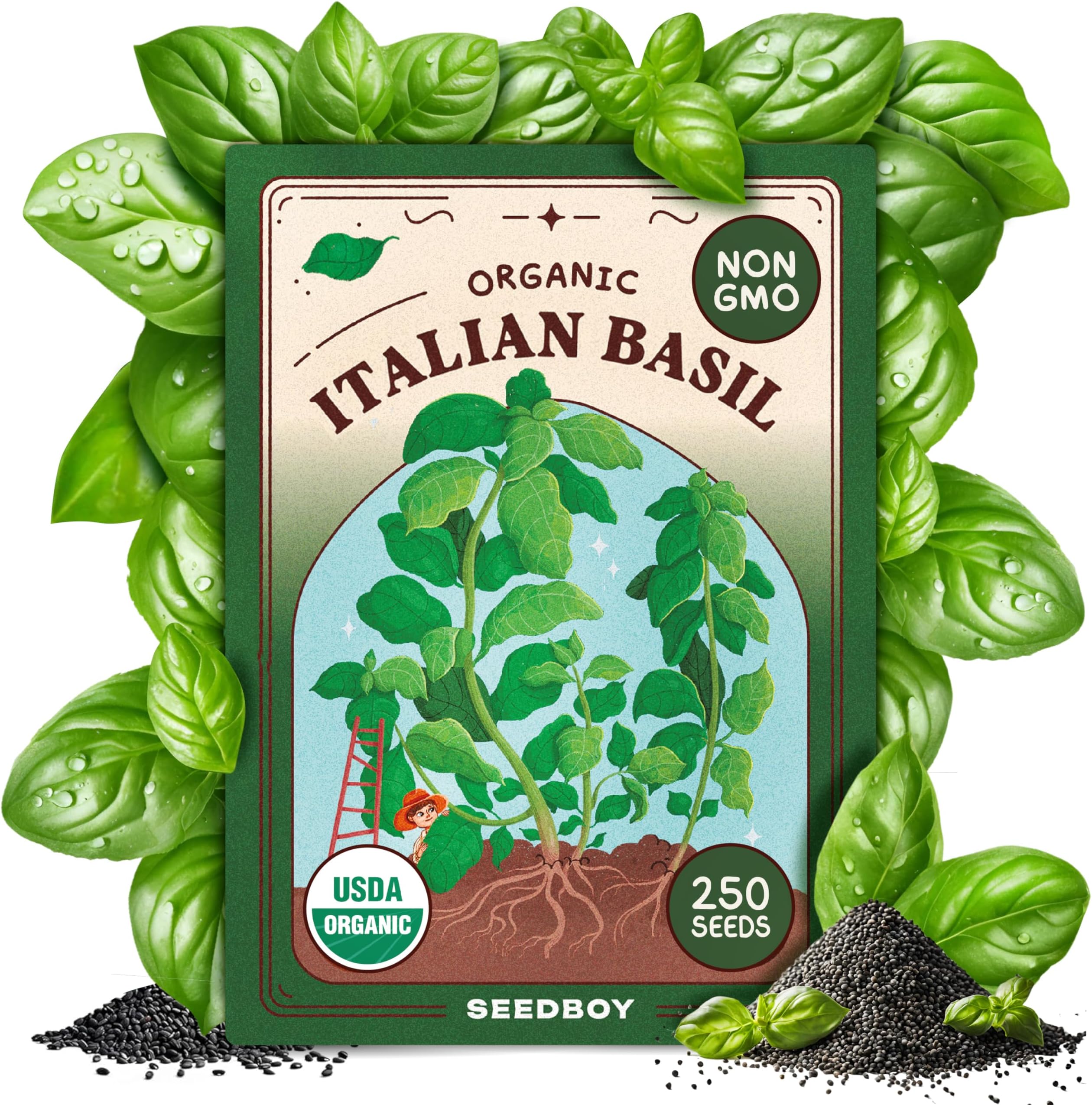 Seedboy 250 Organic Basil Seeds for Planting Indoor and Outdoor, Non-GMO and USDA Certified Herb Seed Packet for Hydroponic Garden Indoor or Planting Outdoors (Genovese Basil)
