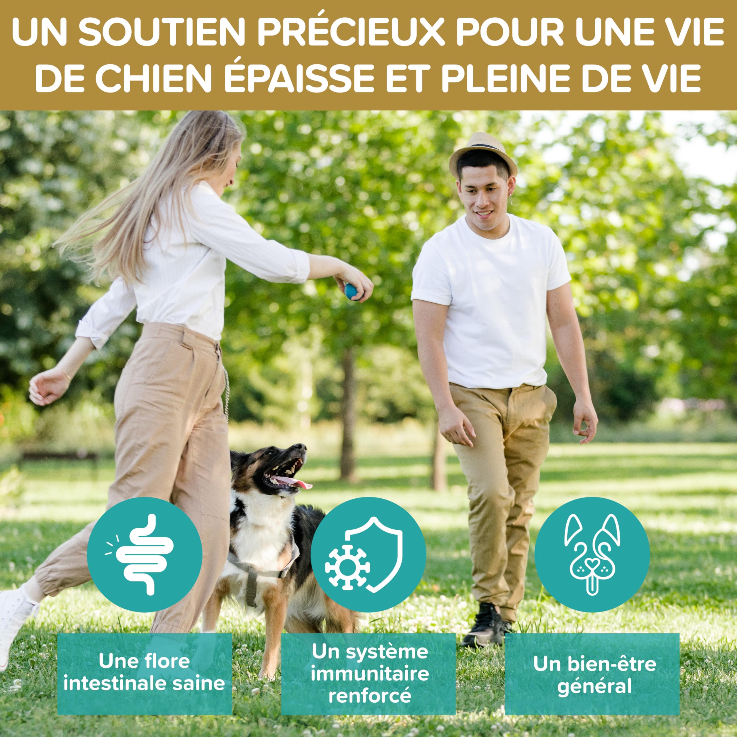 Probiotiques Chiens – Complément Digestif Naturel – Probiotiques Chien pour Santé Intestinale – Bien-être Quotidien avec Probiotiques pour Chiens BAU – 120 Comprimés