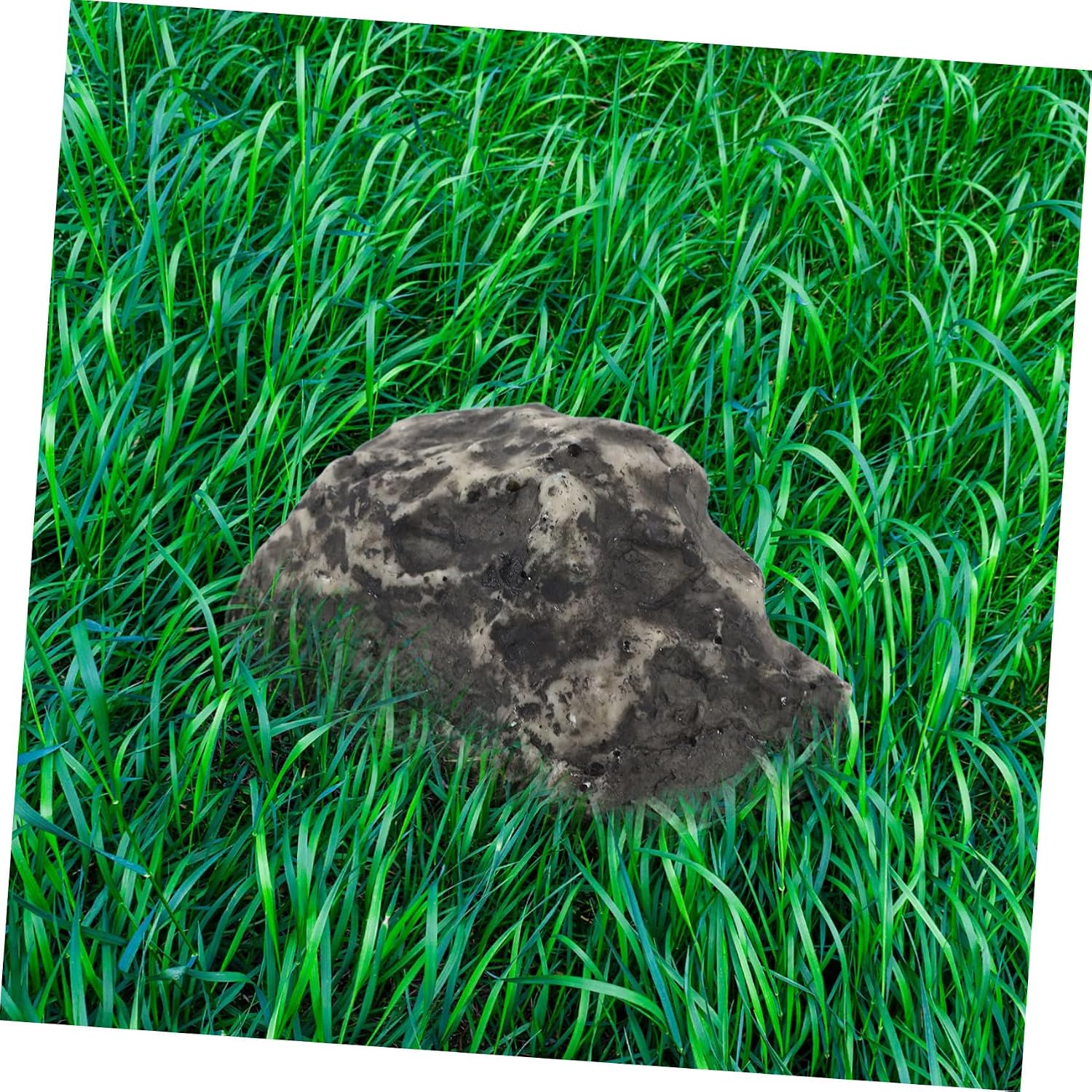 Hidden Key Box Rock Plastic Yard Garden Safe Storage Stone Look | Realistic Faux Boulder Design, Spare-Key Stash, Entryway Porch Placement, Compact Concealment Safe Box