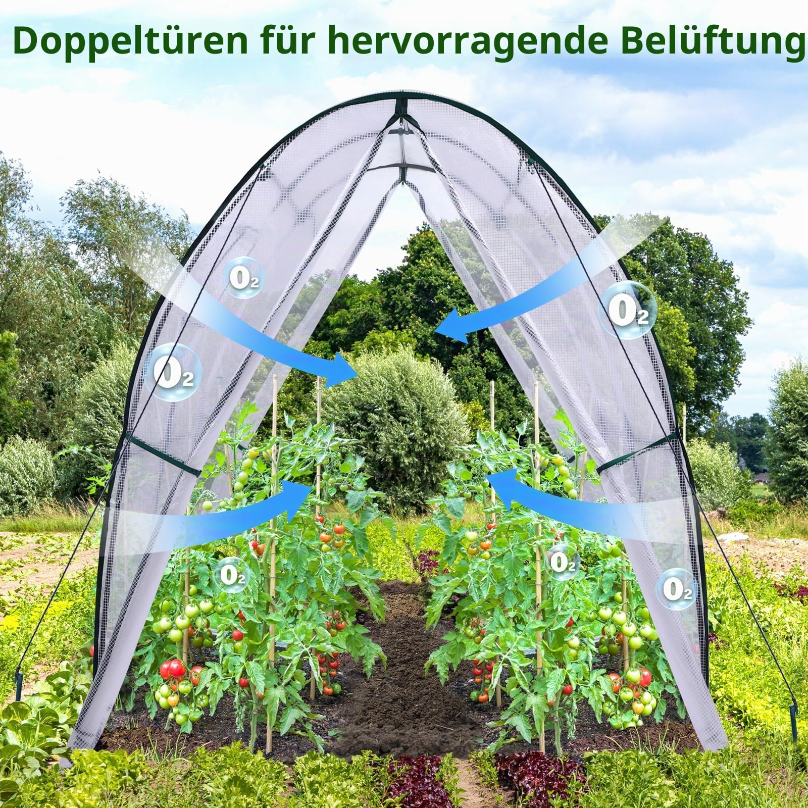 Ohuhu Gewächshaus Foliengewächshaus Tragbar Tomatenhaus Folientunnel, Robustes begehbares Gewächshaus mit Netzfenstern, langlebige Kunststoff-PE-Abdeckung für den Außenbereich 1,8x1,8x2 m Weiß