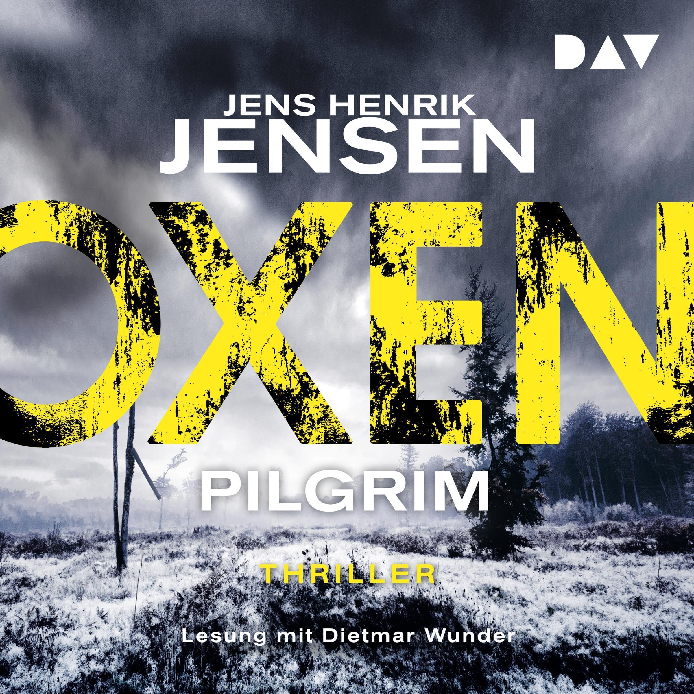 Cover art for Pilgrim