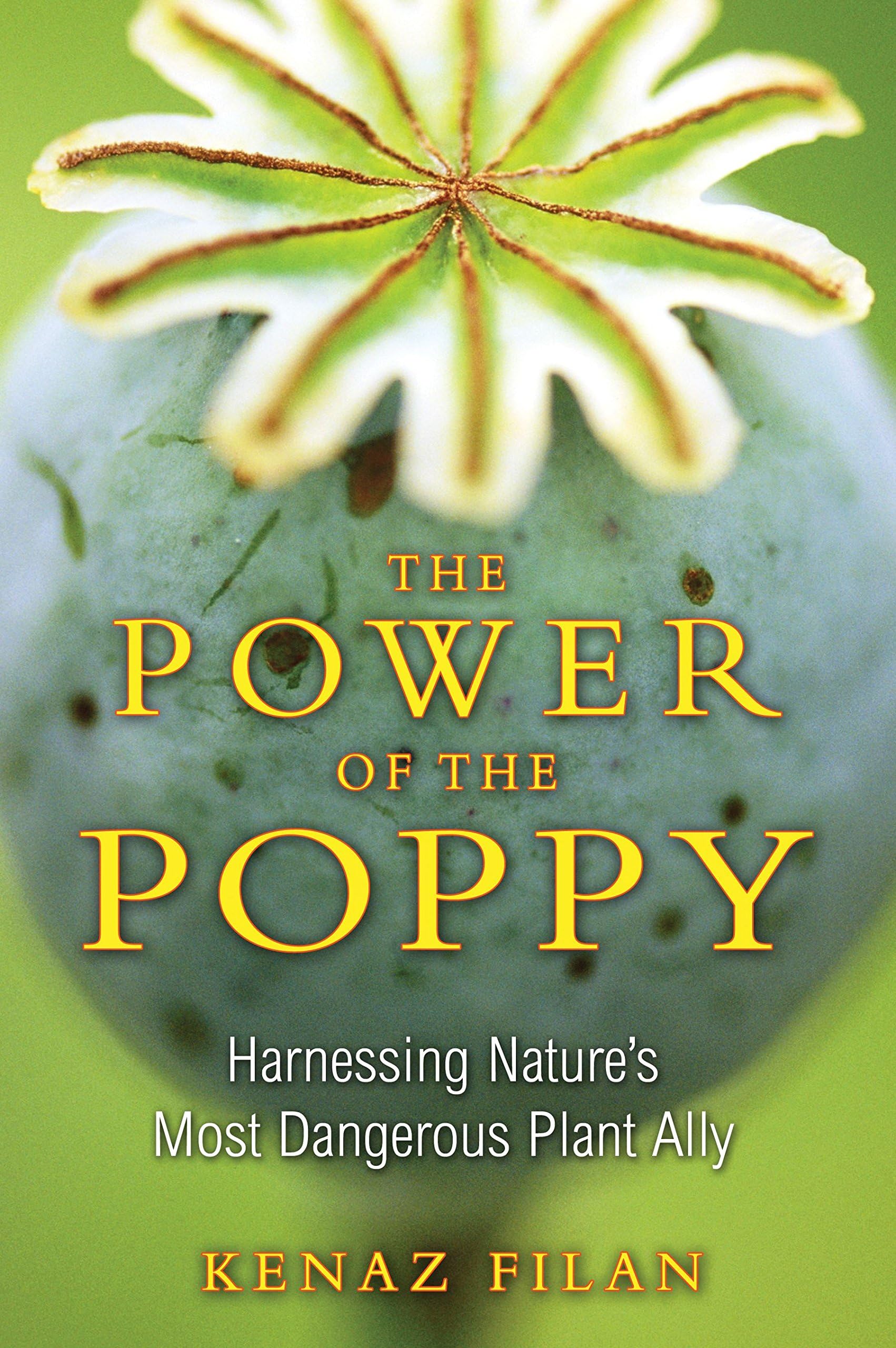 The Power of the Poppy: Harnessing Nature's Most Dangerous Plant Ally Paperback โ February 23, 2011