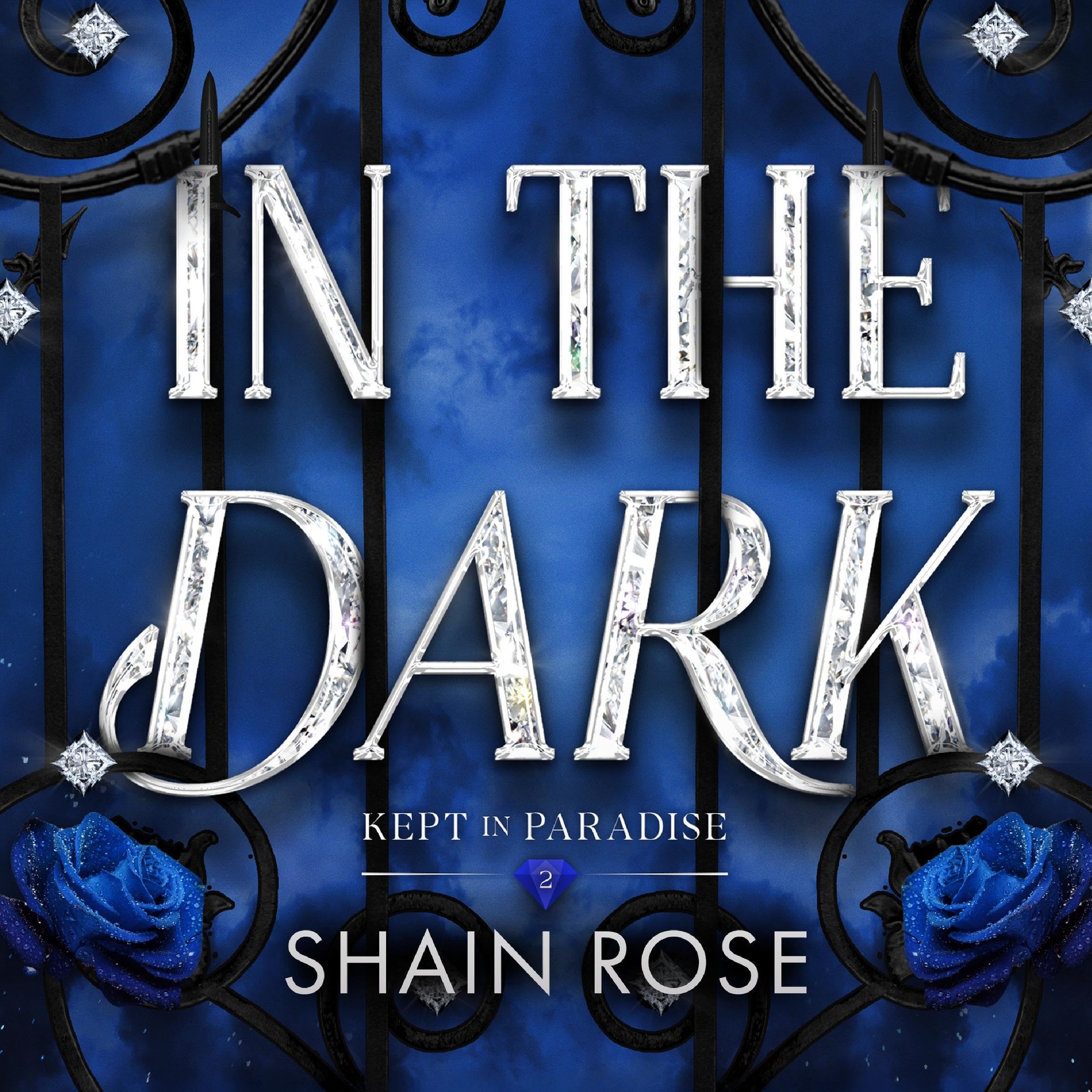 Cover art for In the Dark