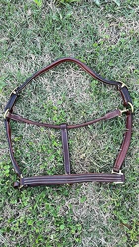 Miniatura 3 de Leaders - Cabestro acolchado de cuero para caballos con placa de nombre grabada personalizada con opción halter para caballo