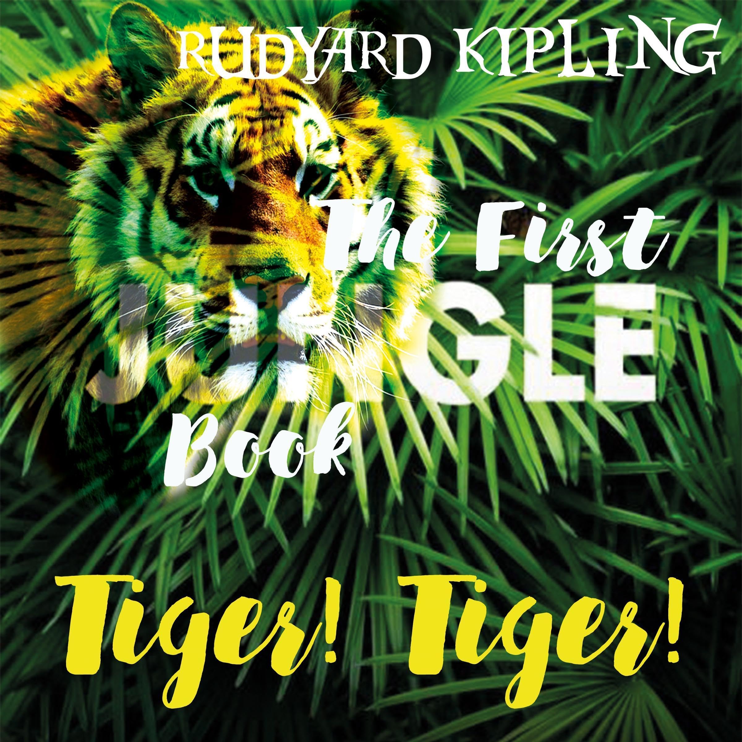 Cover art for Tiger, Tiger