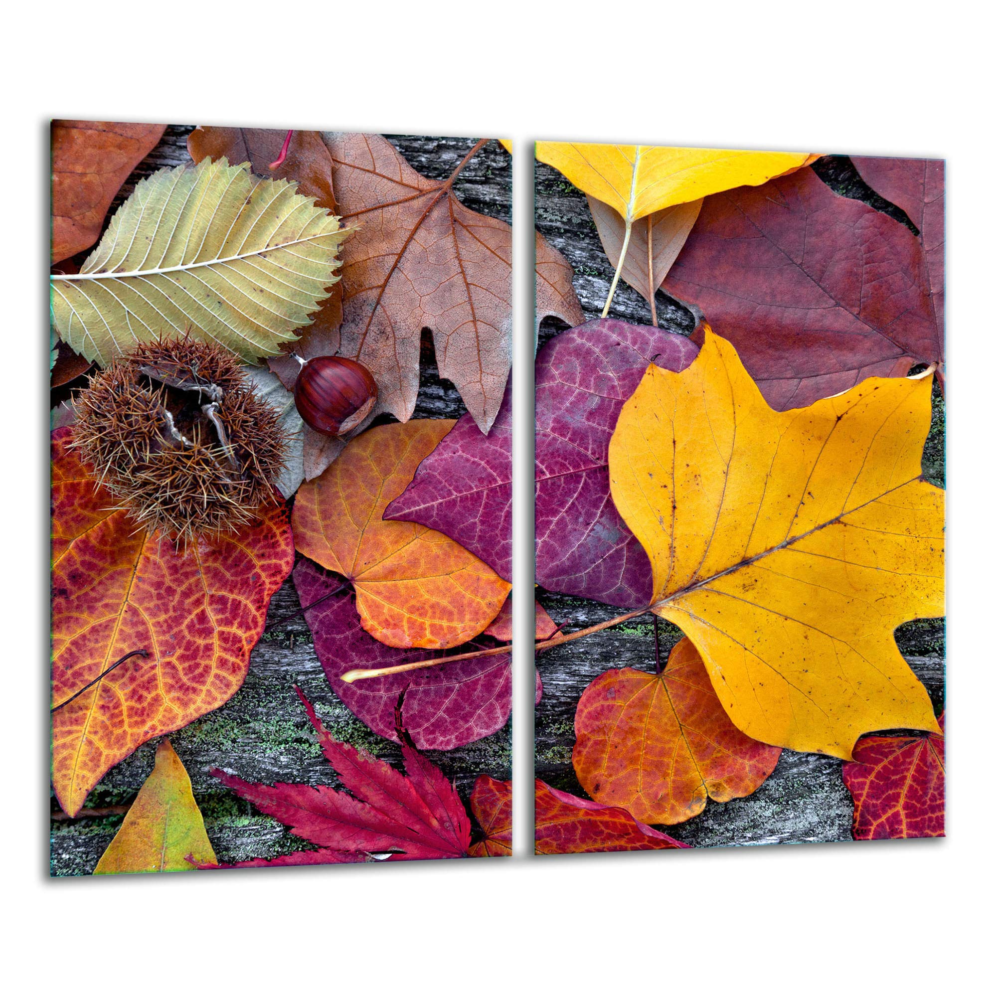 QTA - Placa protectora de vitrocerámica 2 x 30 x 52 cm 2 piezas cocina eléctrica universal para inducción protección contra salpicaduras tabla de cortar de vidrio templado como decoración Hojas