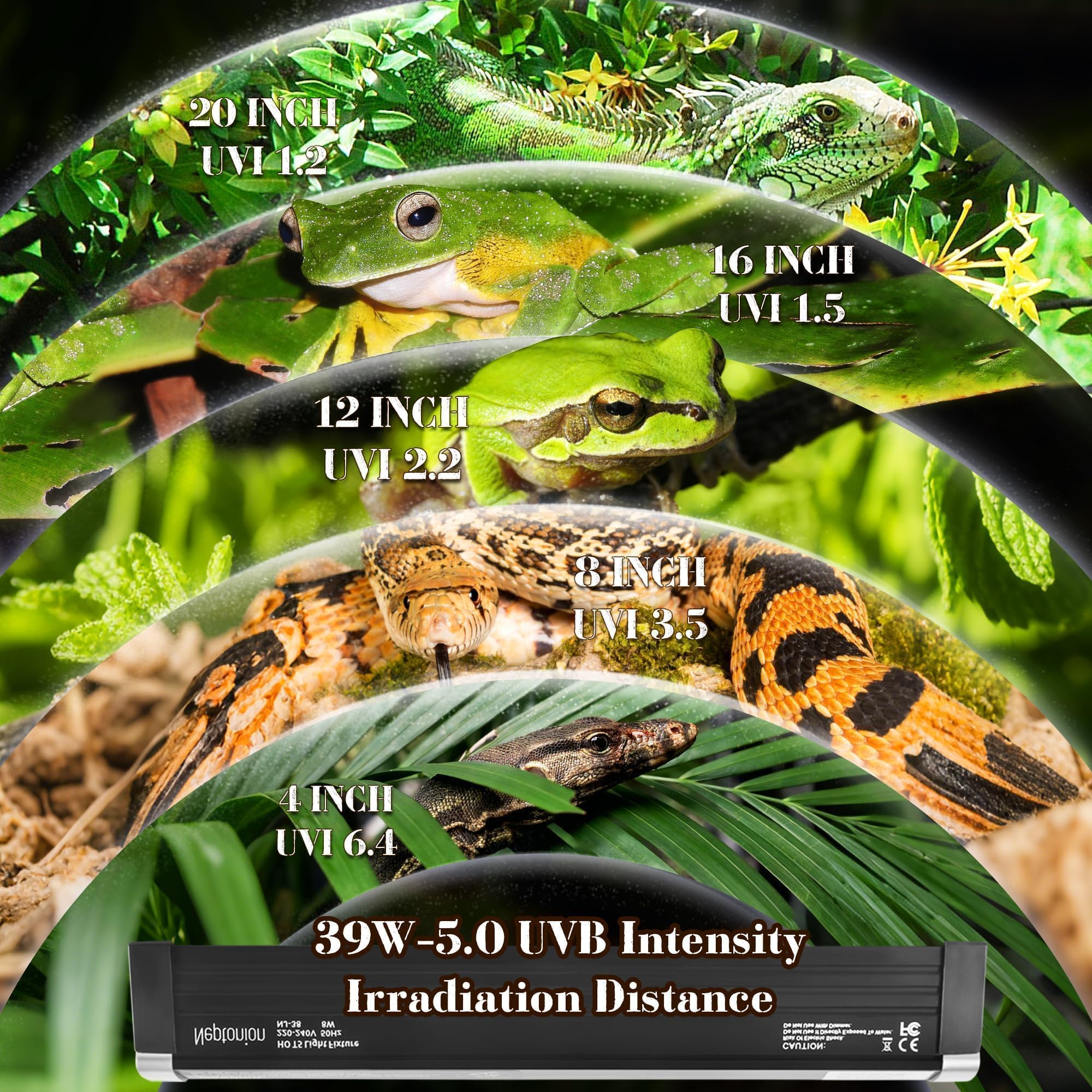 NEPTONION T5 Reptile UVB Light 34.5 Inches Fixture with UVB 5.0 Bulb High Output Hood for Terrariums, Basking Reptiles, Lizards, Chameleons, Iguanas, Bearded Dragons, 39W - image 3