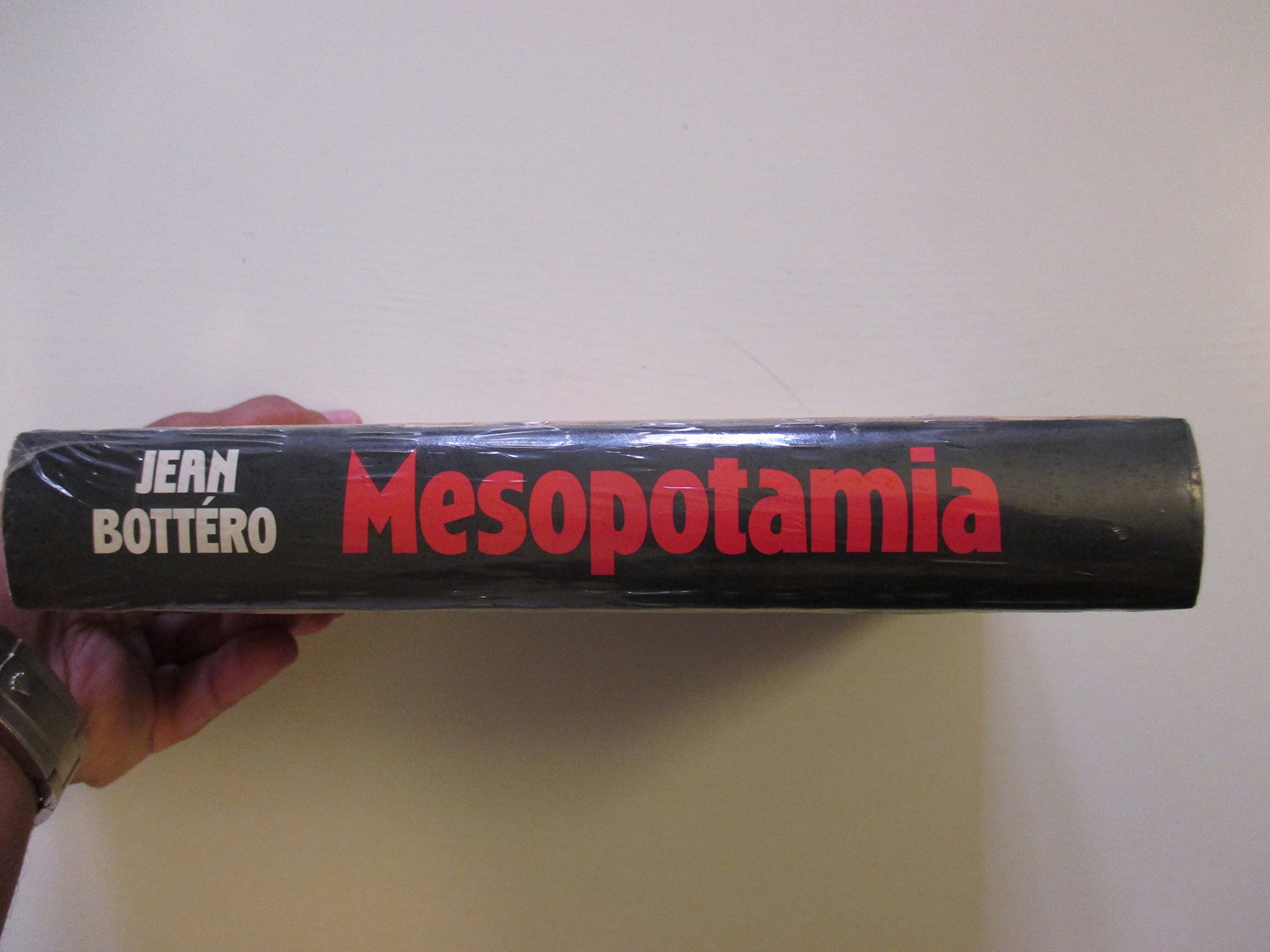Mesopotamia. La scrittura, la mentalità e gli dei