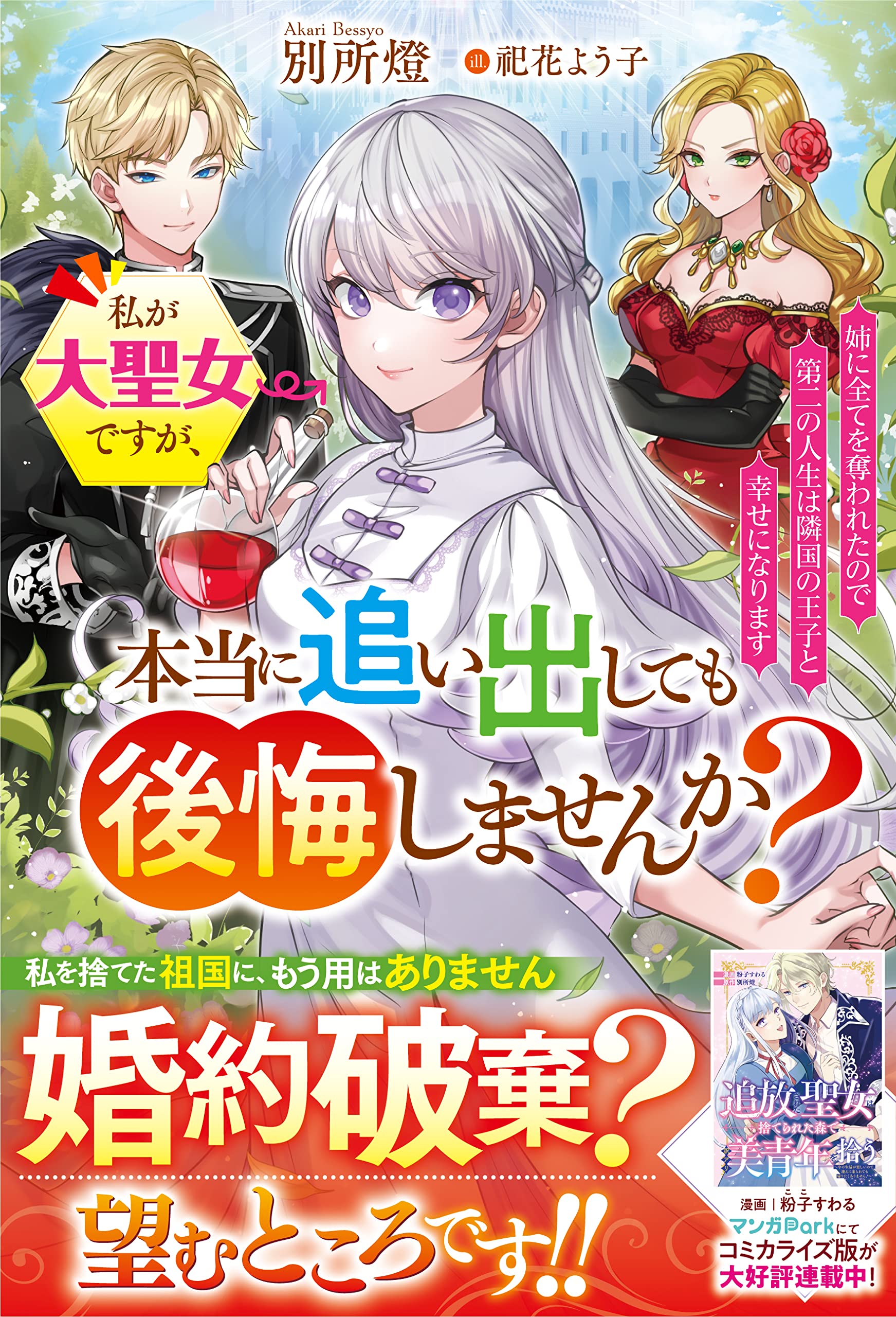 私が大聖女ですが、本当に追い出しても後悔しませんか？ 姉に全てを奪 