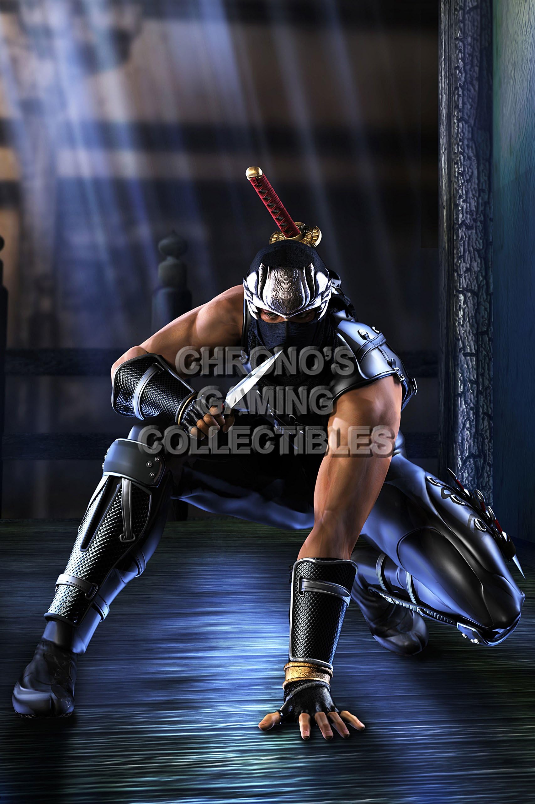 Ninja Gaiden Sigma CGC Huge Poster Ryu - PS3 XBOX 360 - NGS013 (24" x 36" (61cm x 91.5cm))
