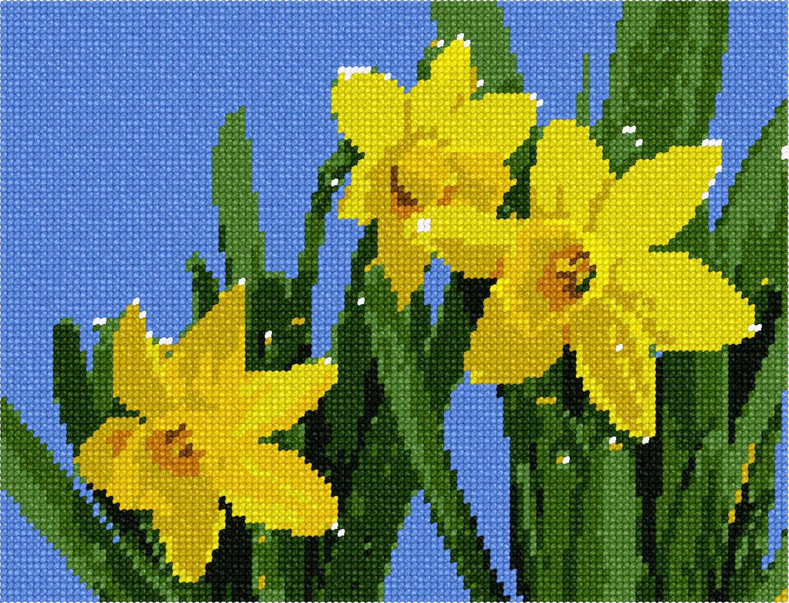 Pepita Needlepoint Canvas: Daffodils, 9