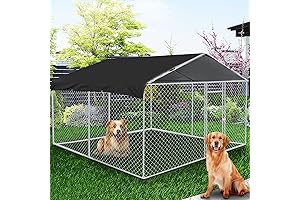 10 x 10 Dog Kennel for Outside