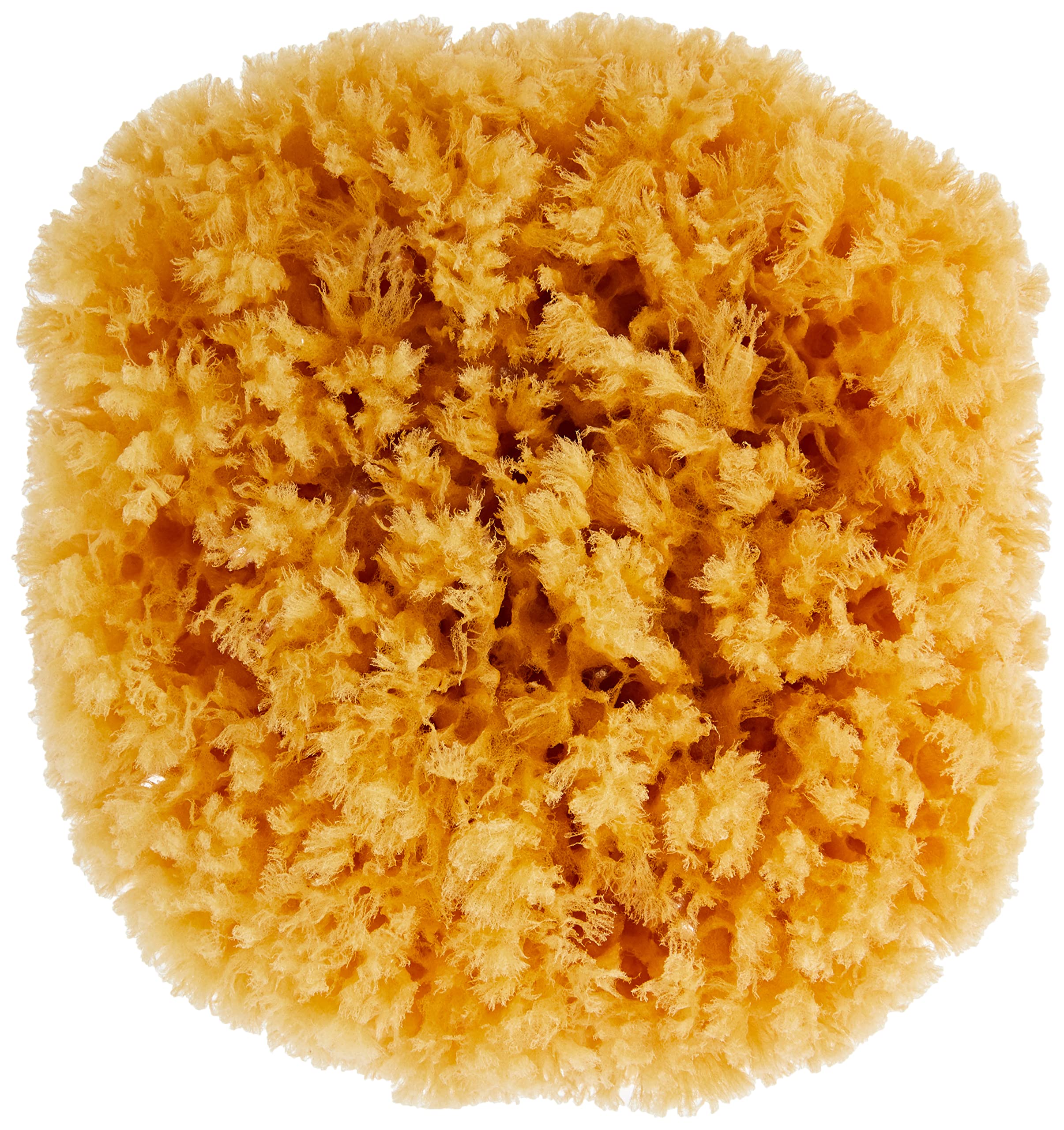 Naturschwamm P130 Premium