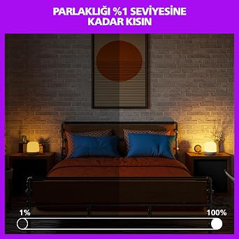 Philips Smart Lighting Hero Akıllı Masa Lambası (Type-C) - Google Home, Alexa, HomeKit ve Matter uyumlu [Enerji Sınıfı A]