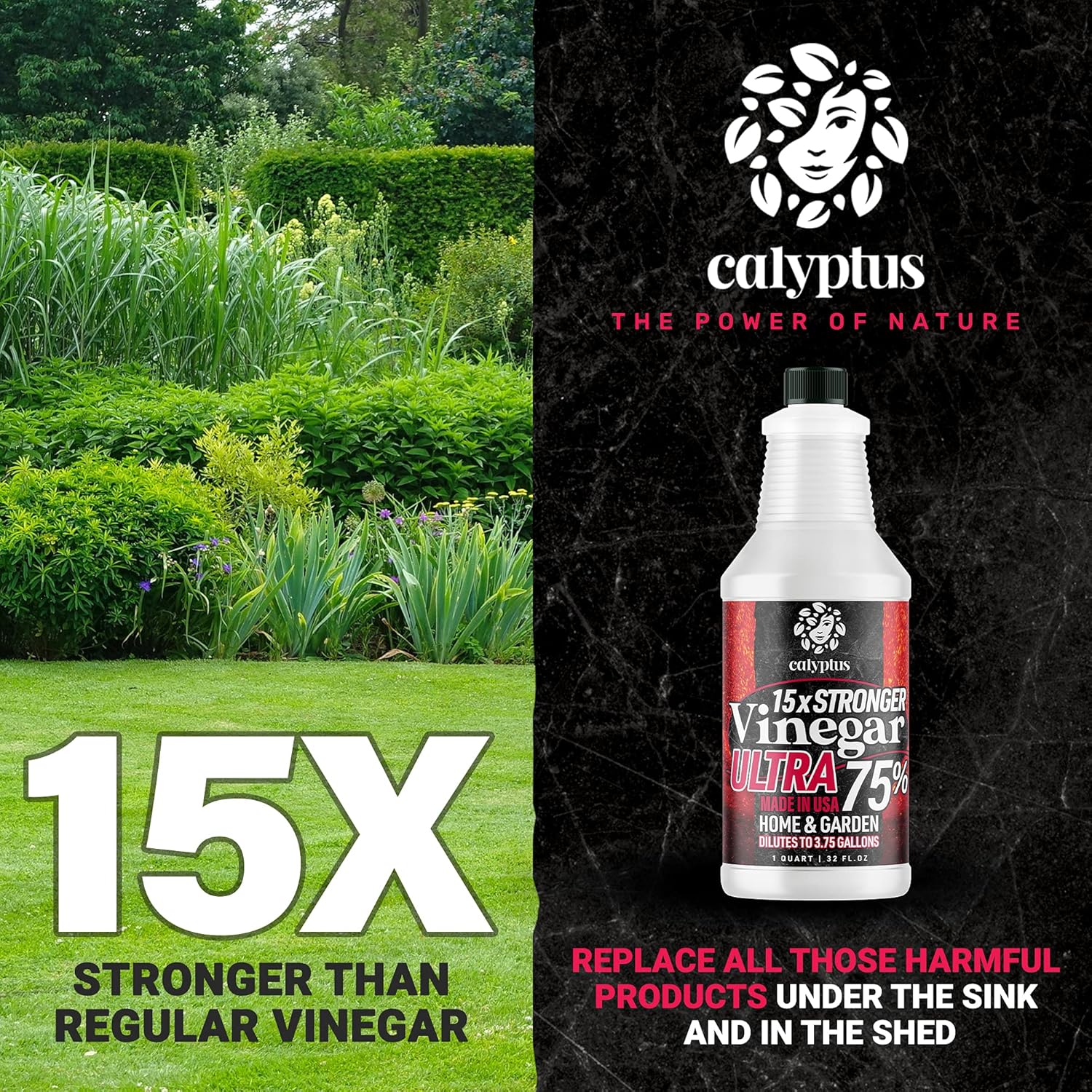 Calyptus 75% Pure Ultra Concentrated Vinegar | Dilutes to 3.75 Gallons | 15x Power Cleaning Vinegar | Home and Outdoor | All-Purpose Industrial Strength Cleaner, 32 Ounces : Health & Household