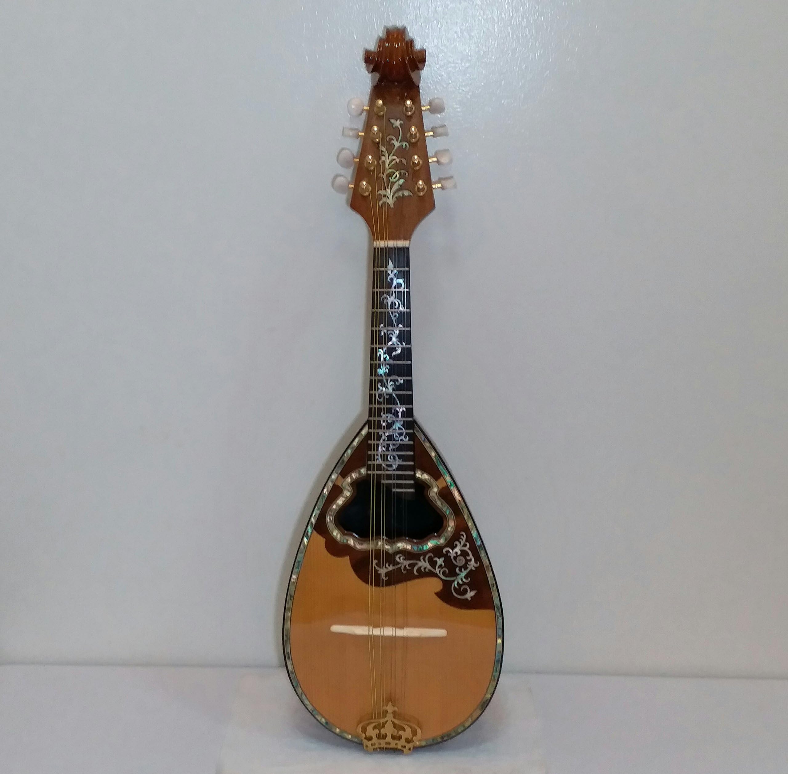 Dila Roza Handcrafted Mother Pearl Abalone Inlay Wood Mandolin With Hard Case
