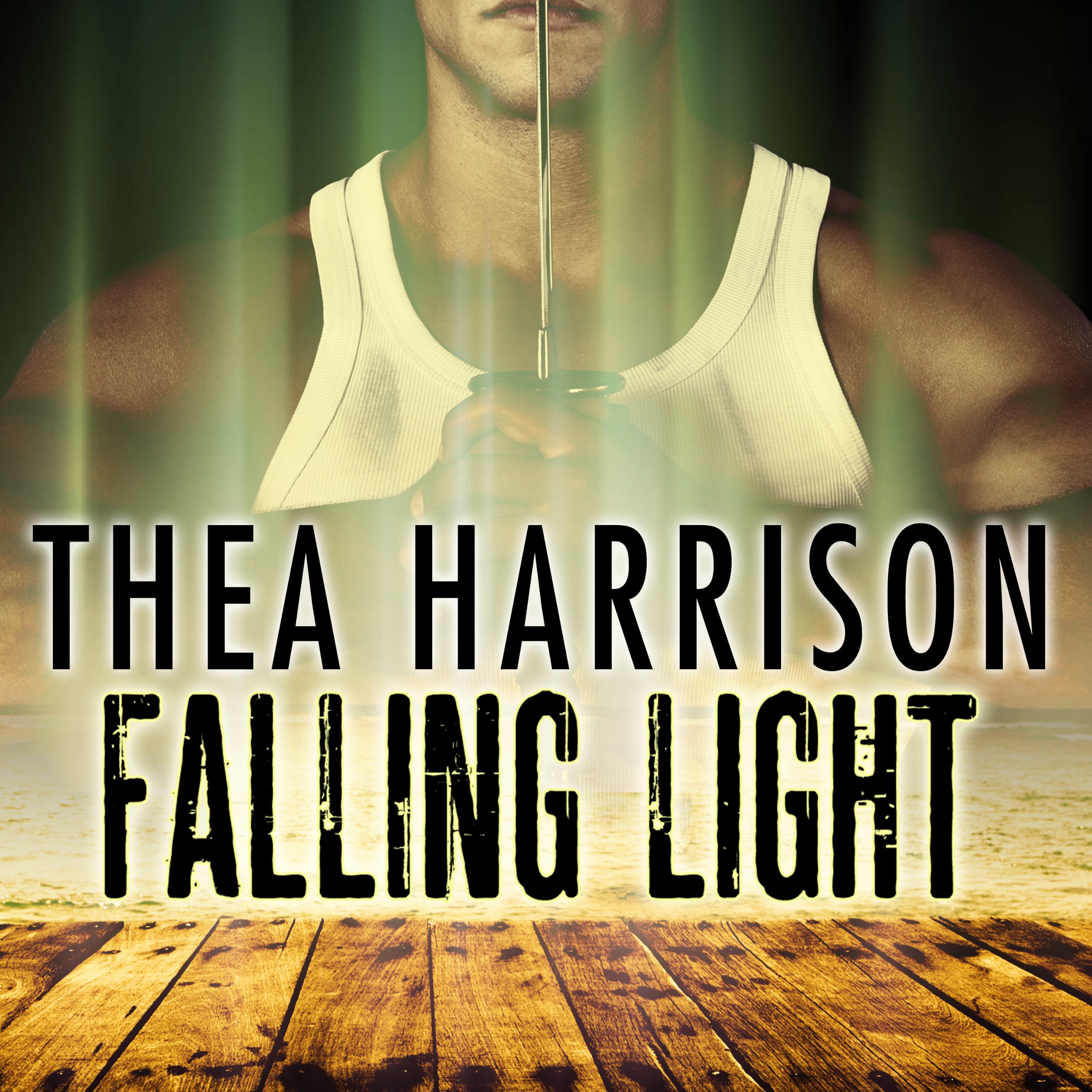 Cover art for Falling Light