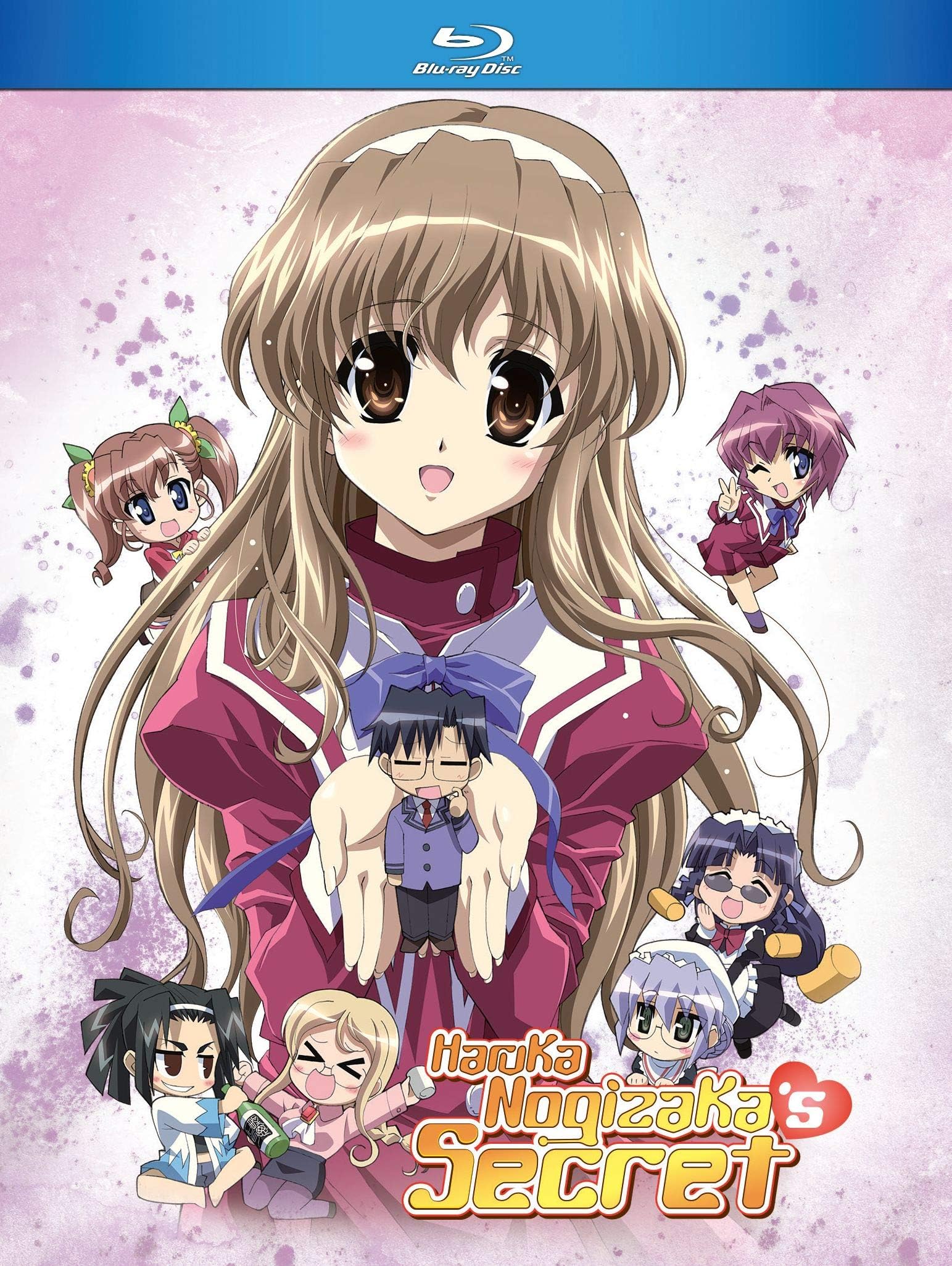 Haruka Nogizaka's Secret [Blu-ray]