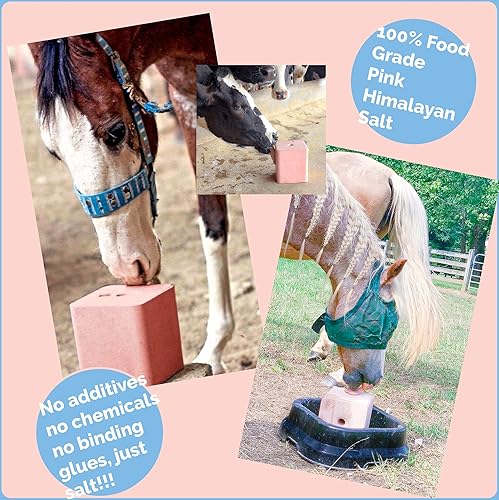Miniatura 7 de Himalayan Secrets Ladrillo de sal rosa comprimida para ganado y vida silvestre, bloque de sal de alimentación pura y natural, minerales y