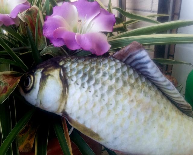 Foto 5 de 7 de Maibar Juguetes para Gatos 3D Pescado Juguetes Gatos Inteligencia Mariposa Gatos Hierba gatera Interactivo…