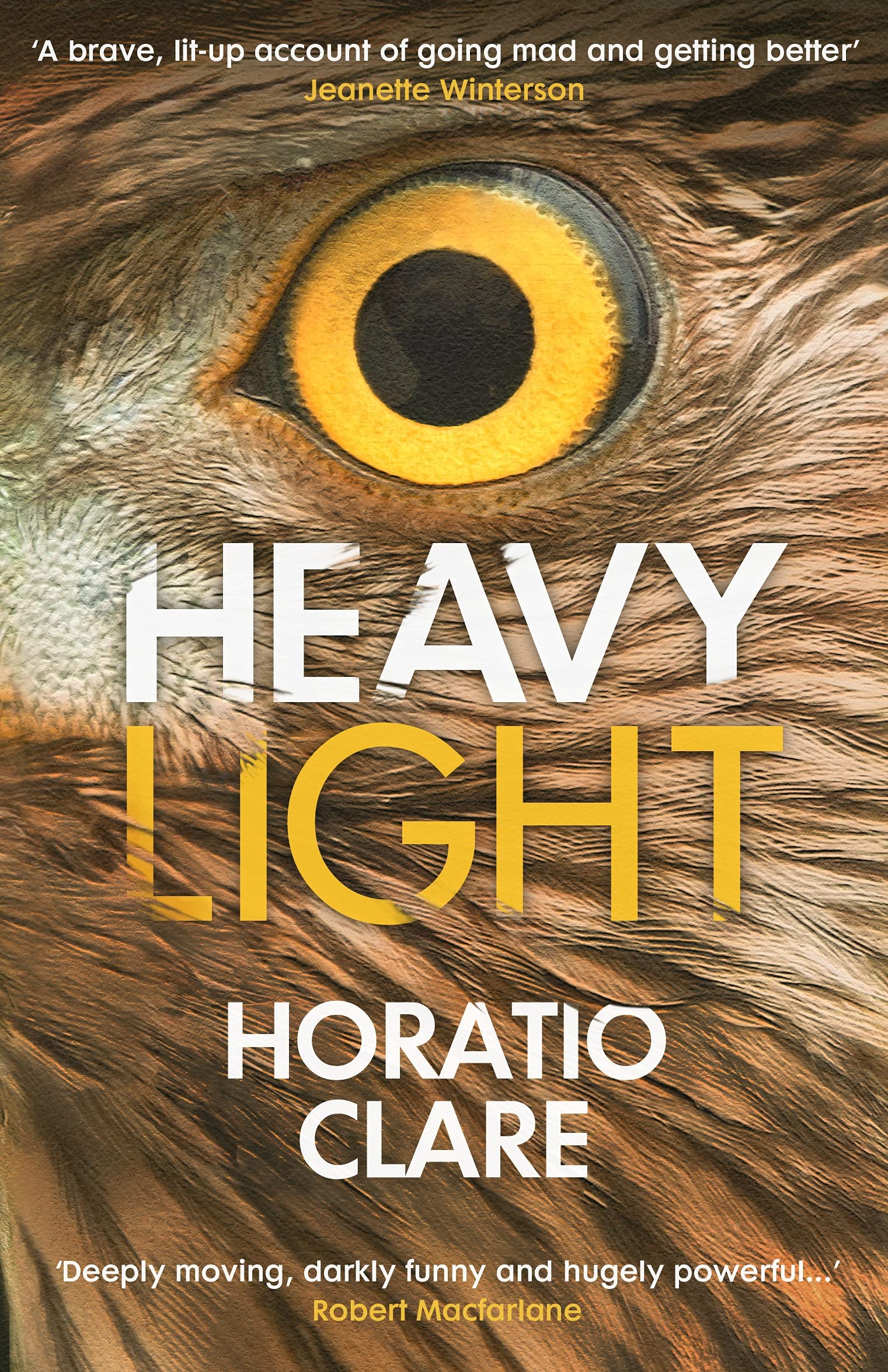 Heavy Light: A Journey Through Madness, Mania and  by Horatio Clare PAPERBACK