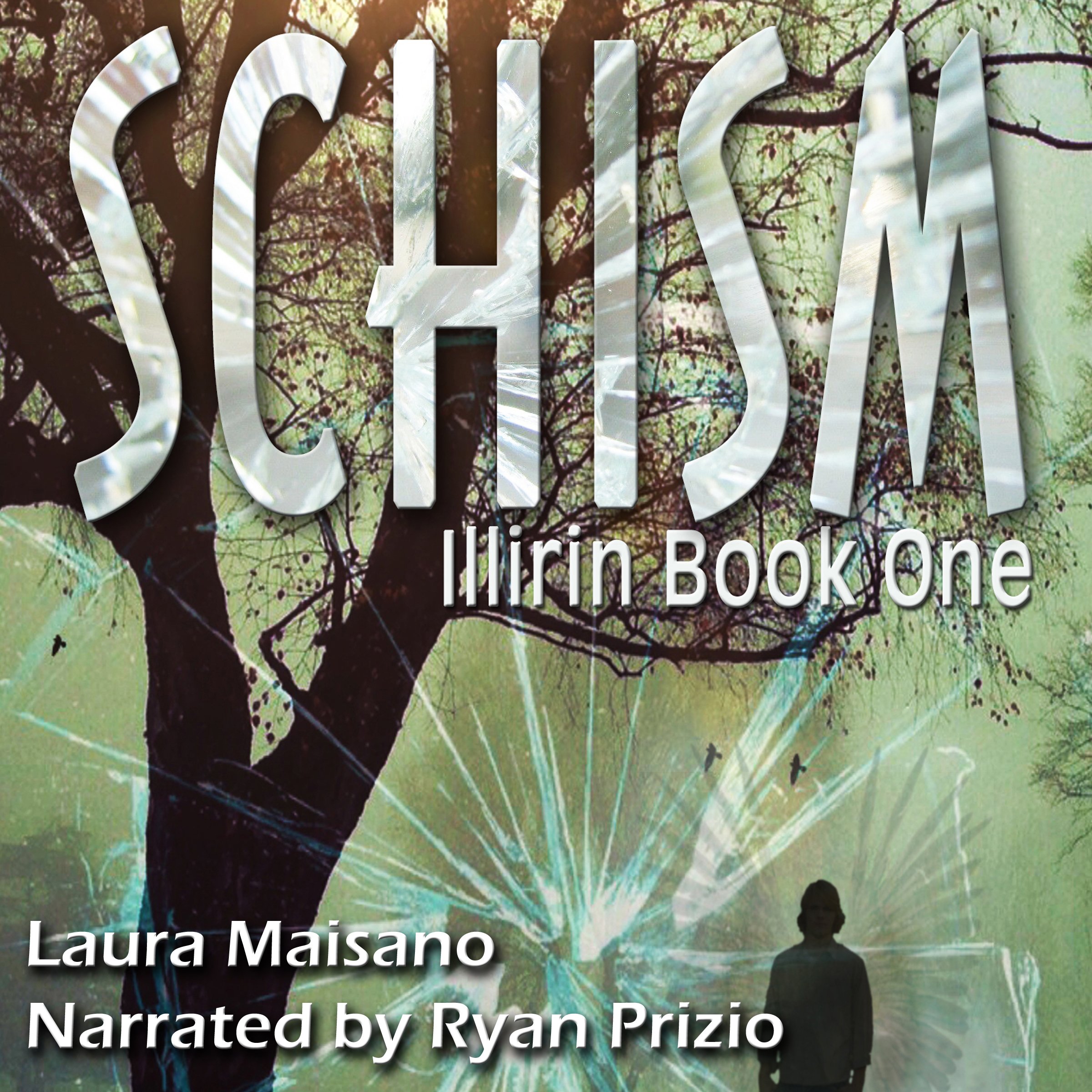 Cover art for SCHISM