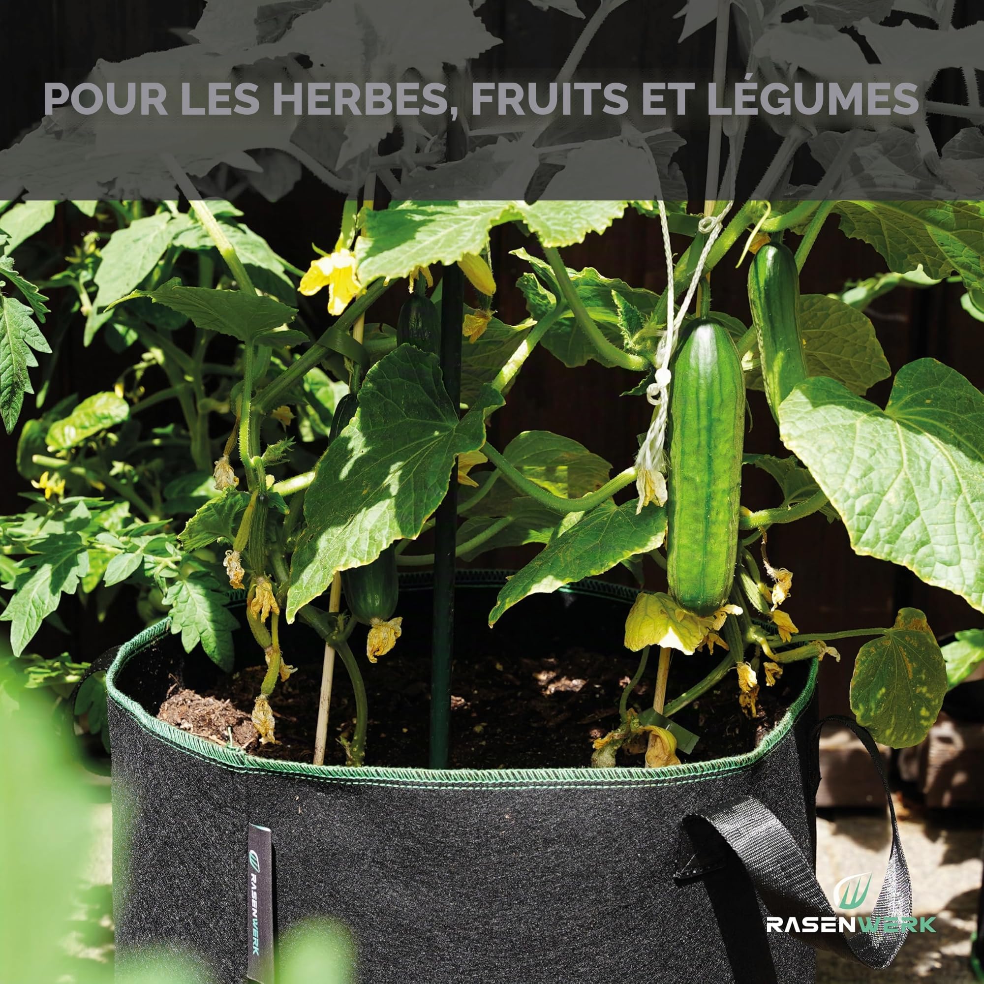 Sac à Plantes 40 Litres en Non-tissé pour Jardin, Serre & Balcon - pour Fleurs, Tomates et Plantes - Alternative Idéale au Pot de Fleurs - 5 Pièces