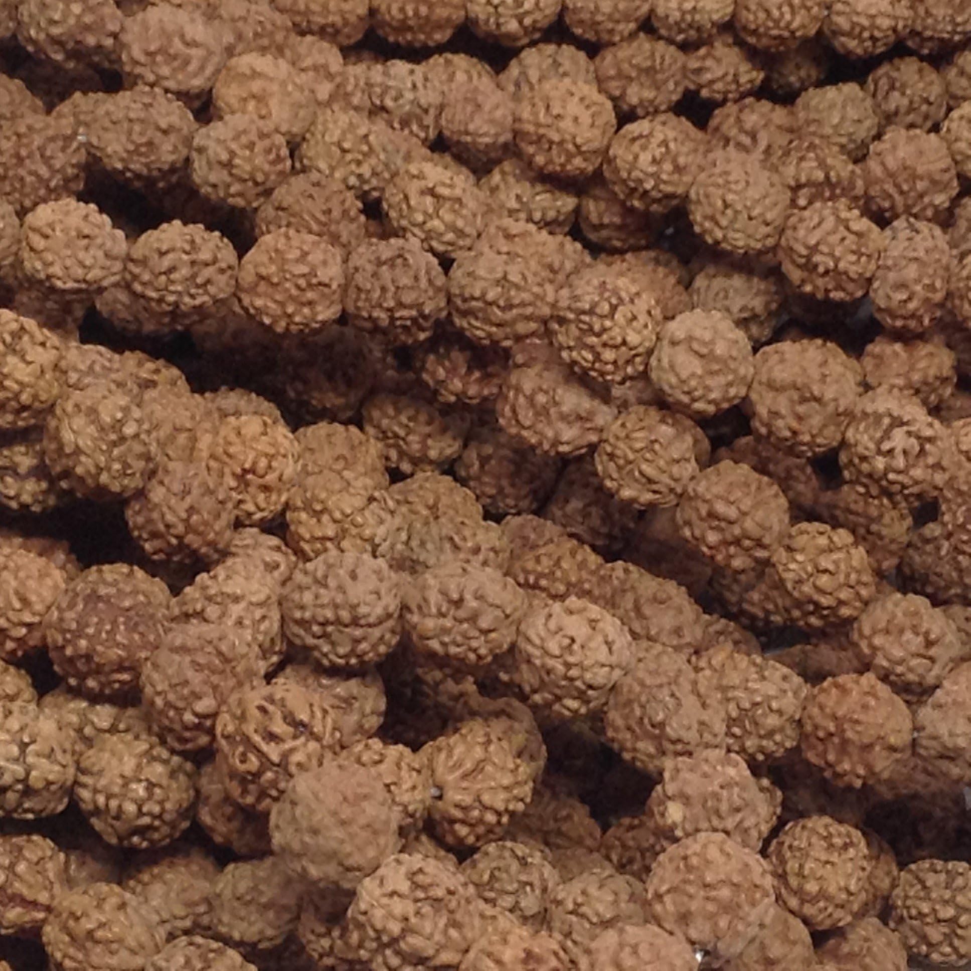 8mm Natural Rudraksha (10 Strands)
