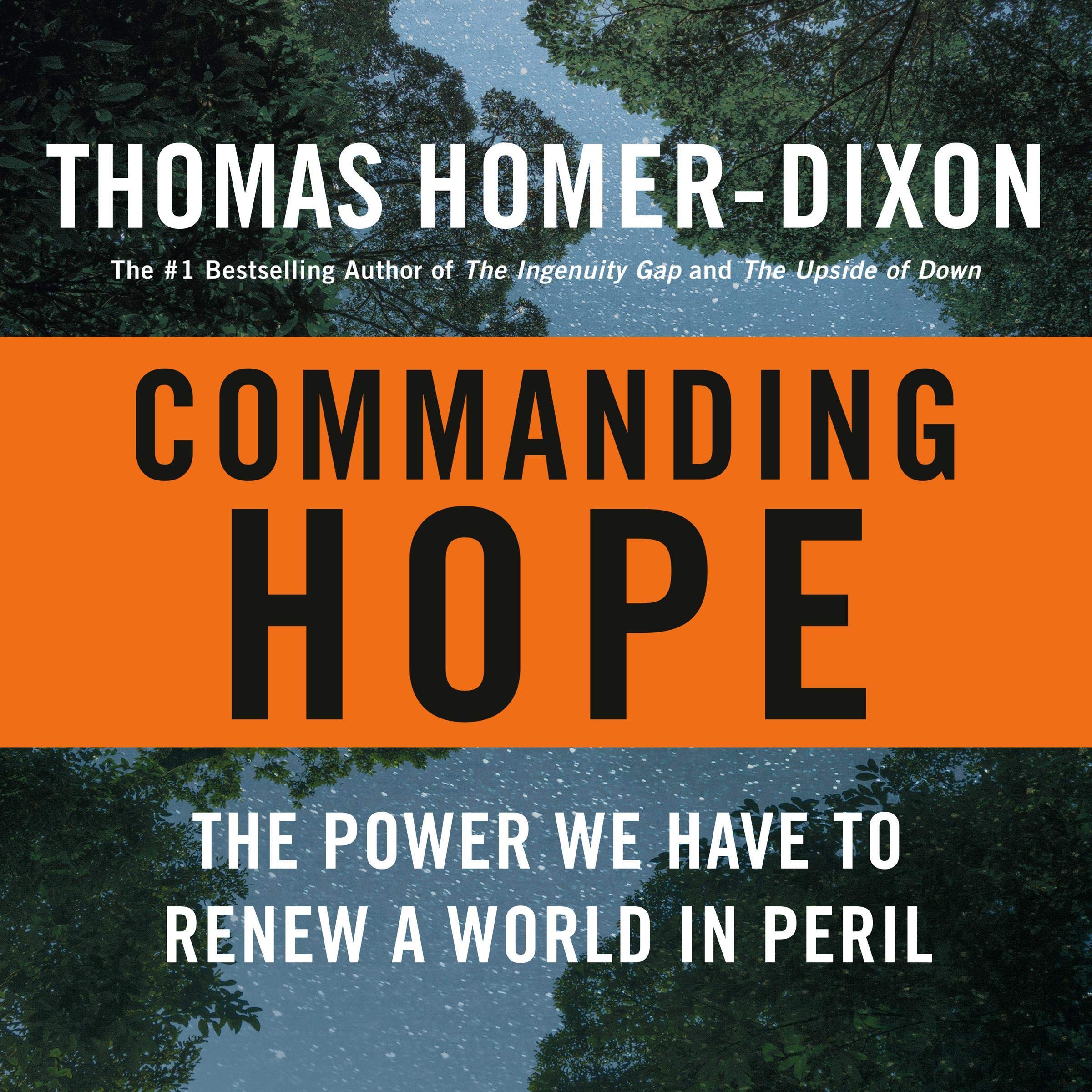 Cover art for Commanding Hope