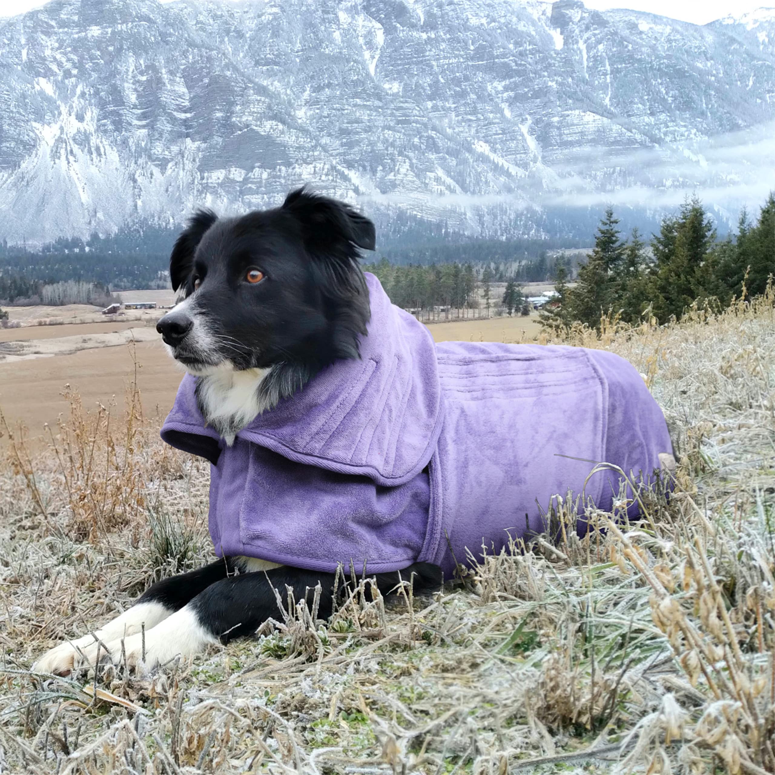 Manteau de séchage pour chien - Serviette de séchage rapide double couche en microfibre pour chien - Col et taille réglables (XL, chiné)