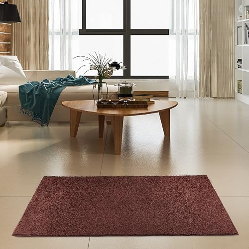 Alfombra de color sólido para mascotas, respetuosa con el medio ambiente.