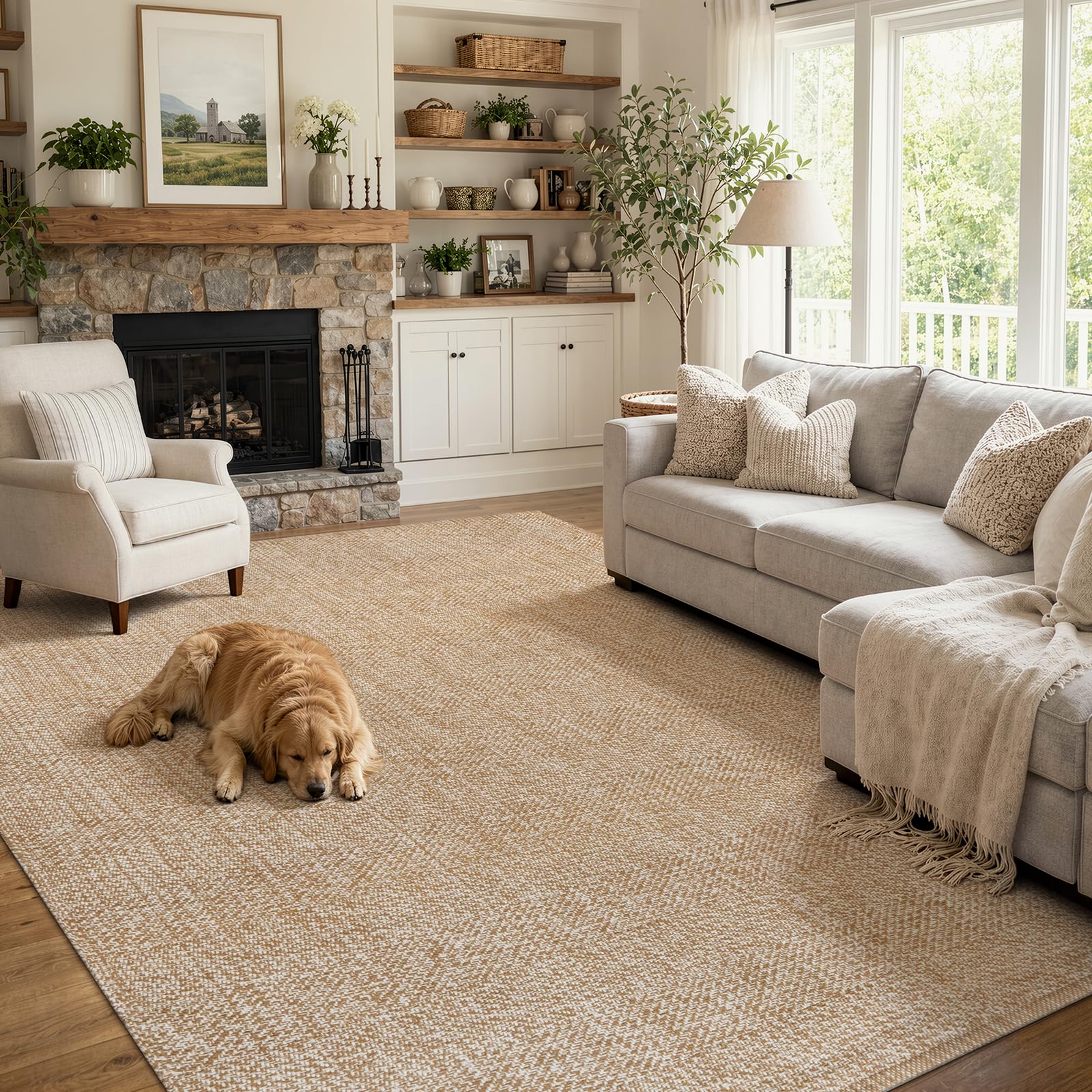 Photo 1 of Collive 6' x 9' Braided Area Rug