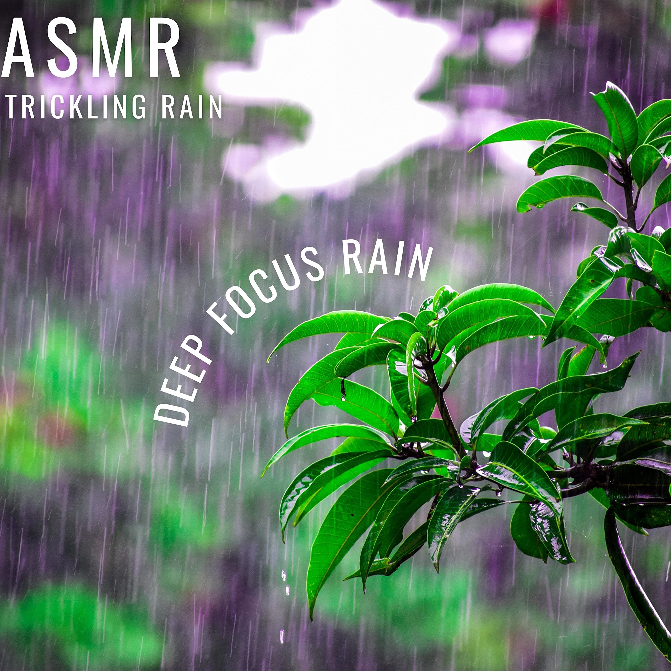 ASMR Trickling Rain