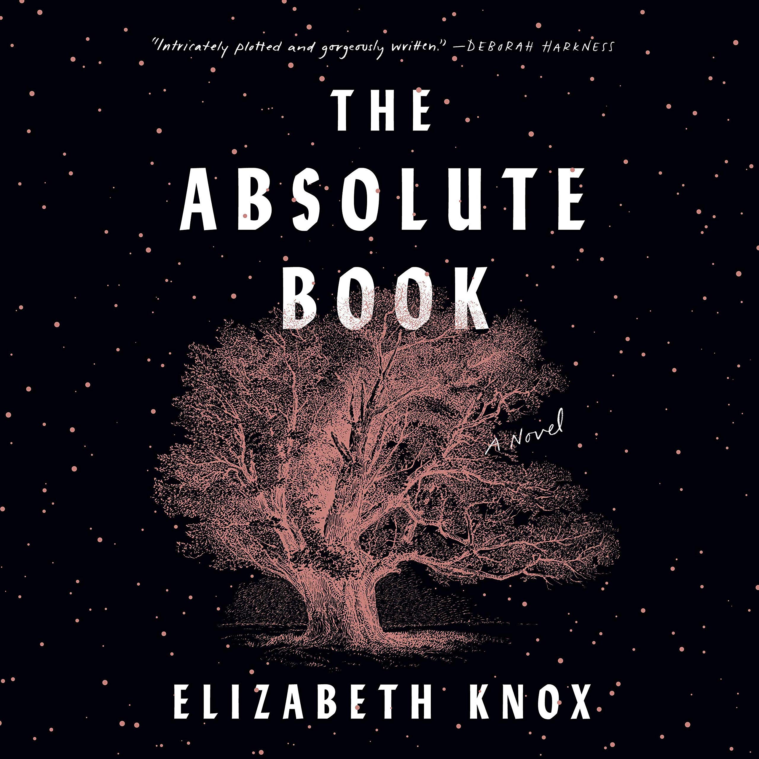 Cover art for The Absolute Book