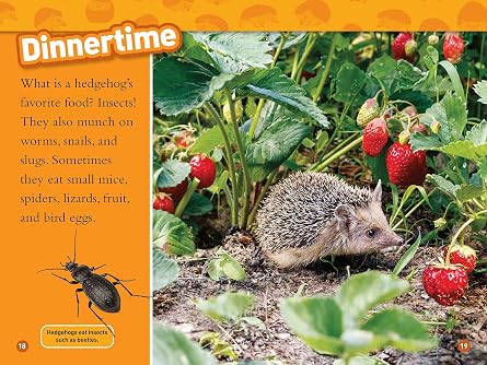 Hedgehogs (National Geographic Kids Readers, Level 1)