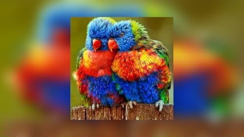 Dolby Vision 4K Screensaver - Colorful 4K with Relaxing Music Screensaver for Fire TV